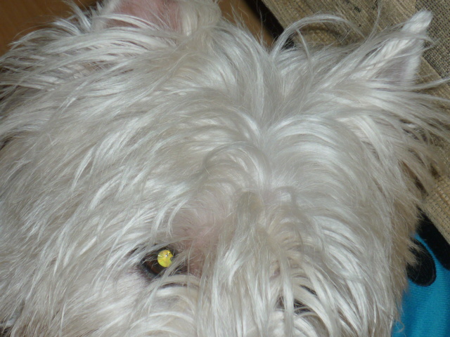 P1000469.JPG
