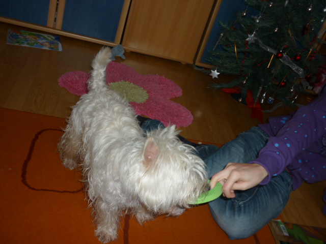 P1000464.JPG